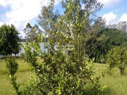 #T0298 - Terreno para Venda em São Bernardo do Campo - SP - 2