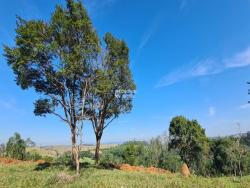 Chácara para Venda em Jacareí - 3