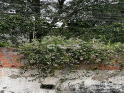 Terreno para Venda em Santo André - 5