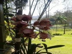 Chácara para Venda em São Bernardo do Campo - 5