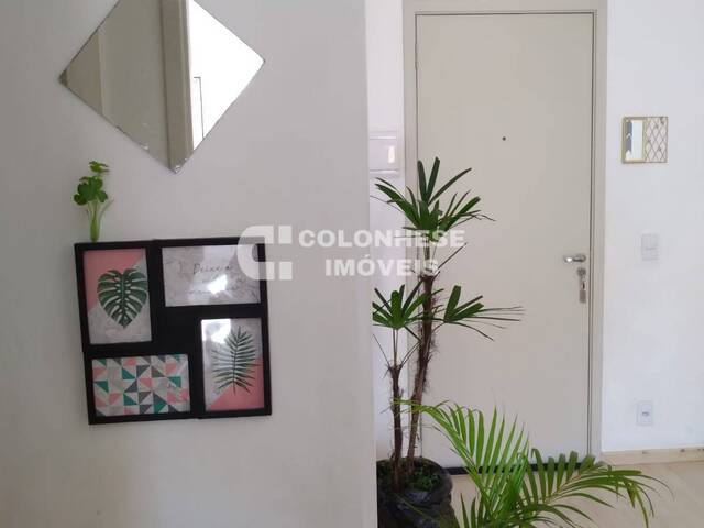 #V3671 - Apartamento Com Condomínio para Venda em Santo André - SP - 1