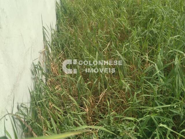 Área para Venda em Santo André - 5
