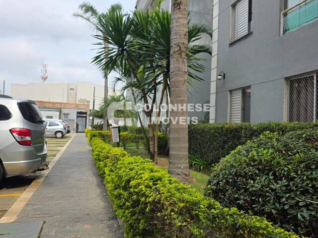 #V8890 - Apartamento para Venda em Santo André - SP - 1