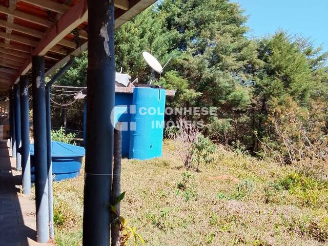 #C7003 - Chácara para Venda em Piracaia - SP - 3