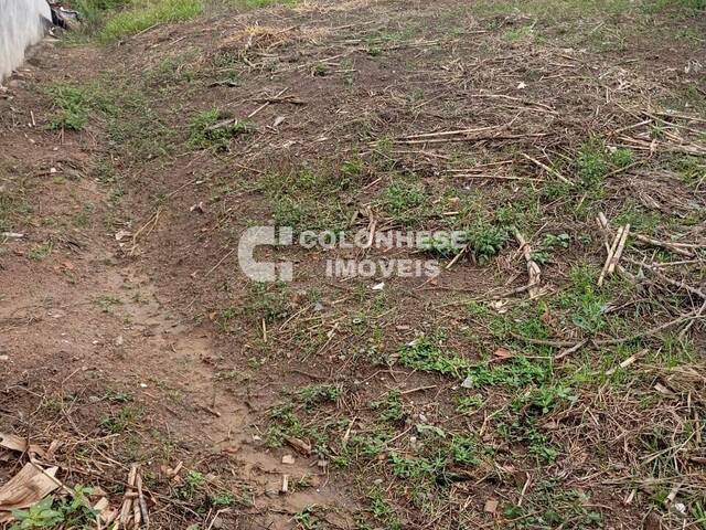 #V8014 - Área para Venda em Francisco Morato - SP - 2