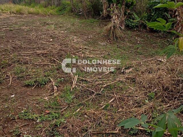 #V8014 - Área para Venda em Francisco Morato - SP - 3