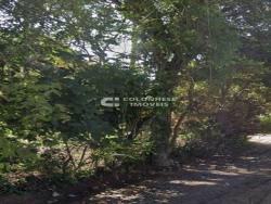 #V7191 - Chácara para Venda em Suzano - SP - 3