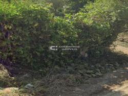 Chácara para Venda em Suzano - 5