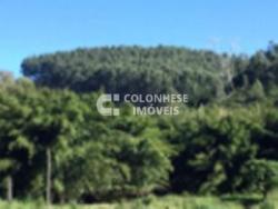 Fazenda para Venda em Itatiba - 4