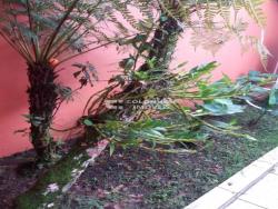 #V4936 - Casa para Venda em Bertioga - SP - 2